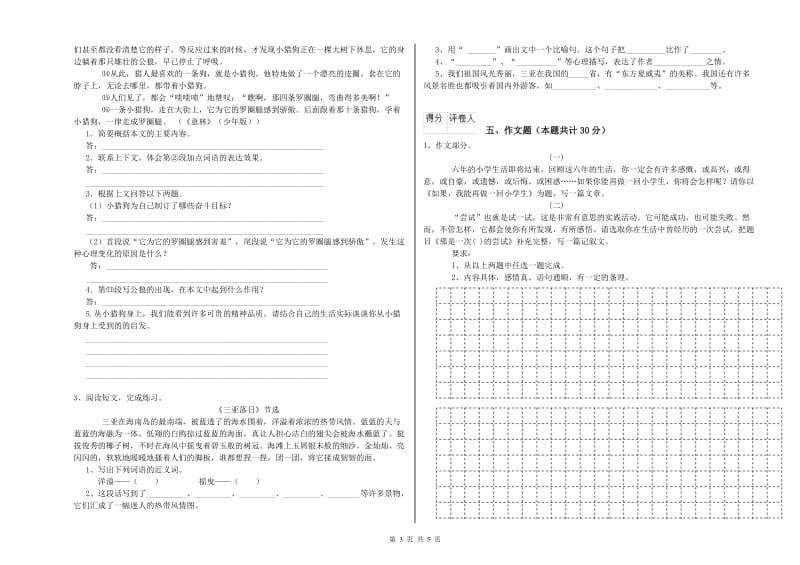 六盘水市重点小学小升初语文每日一练试卷 附答案.doc_第3页