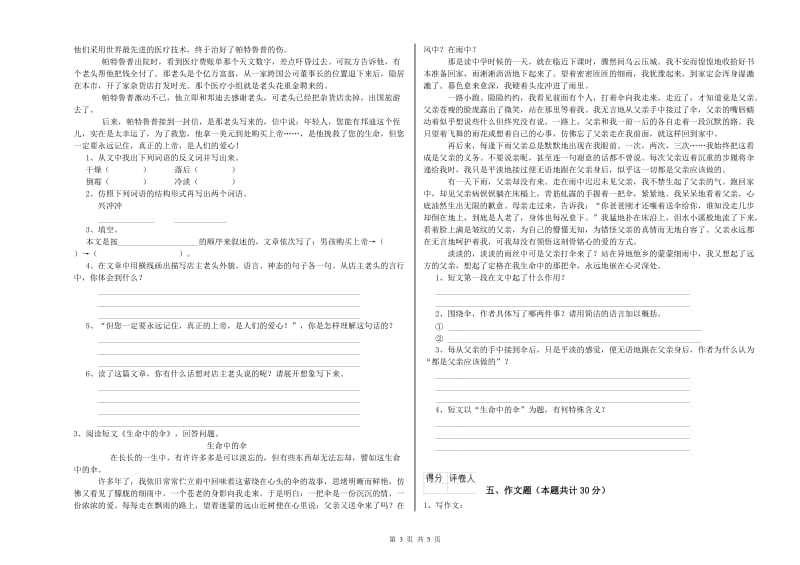 南阳市重点小学小升初语文过关检测试题 附解析.doc_第3页