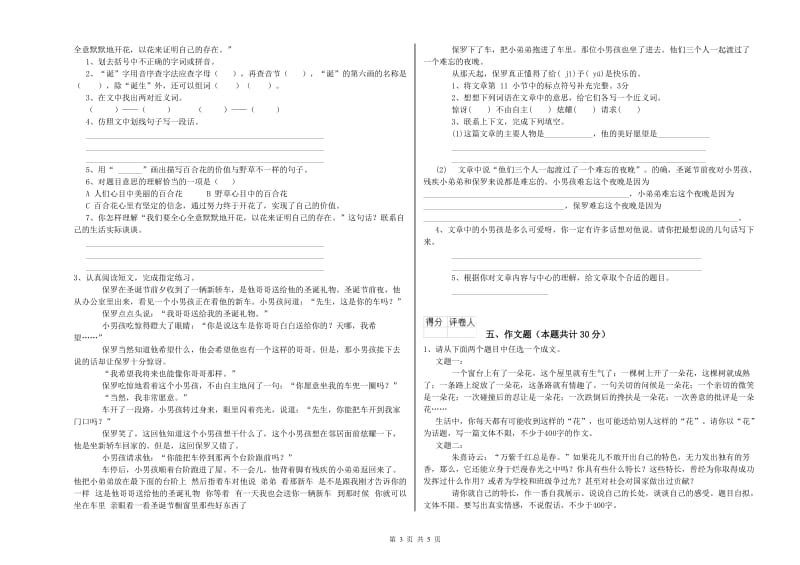 安顺市重点小学小升初语文考前练习试题 附解析.doc_第3页