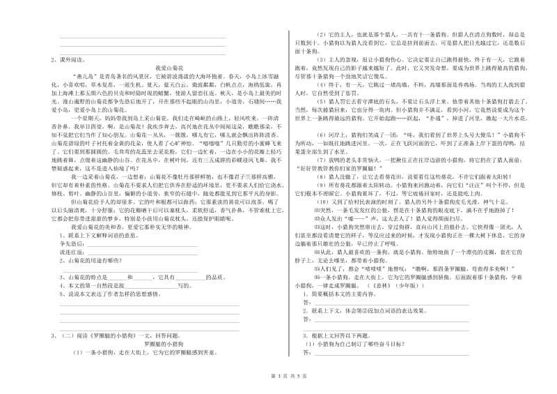 宜春市重点小学小升初语文强化训练试卷 附解析.doc_第3页