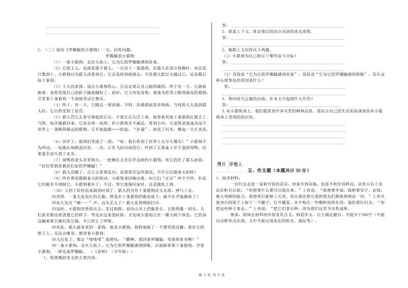 大理白族自治州重点小学小升初语文考前练习试卷 附解析.doc_第3页