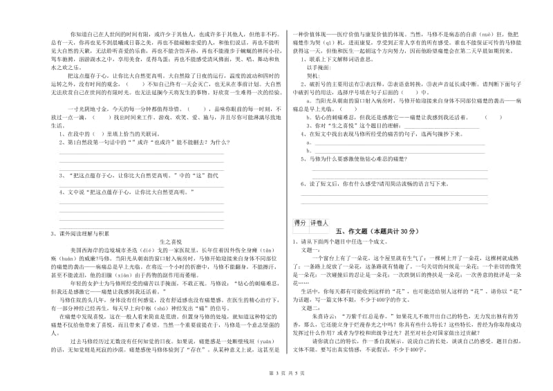 塔城地区重点小学小升初语文考前检测试卷 含答案.doc_第3页