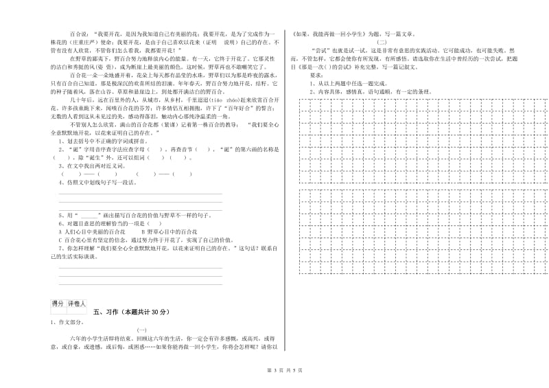 六年级语文下学期全真模拟考试试题D卷 附解析.doc_第3页