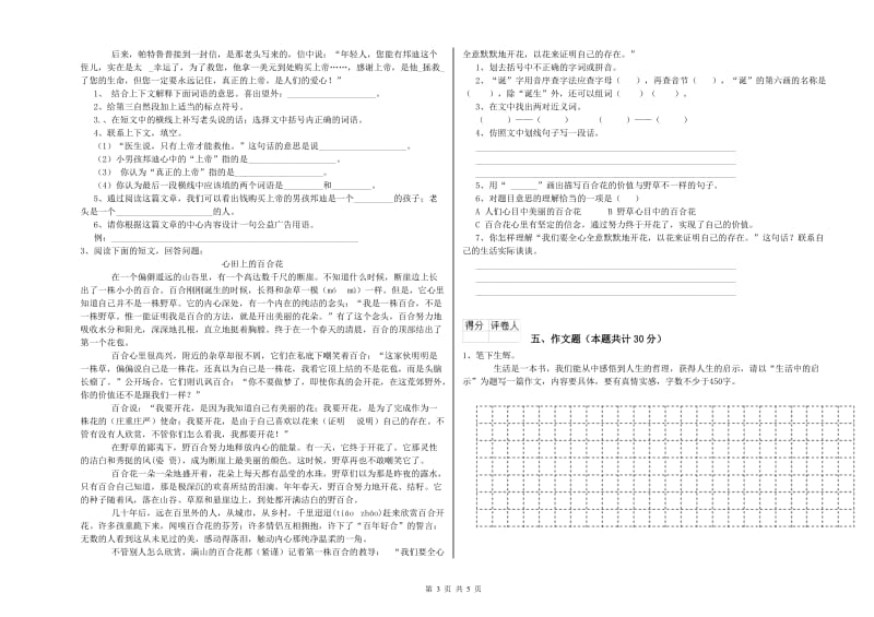 南宁市重点小学小升初语文过关检测试题 含答案.doc_第3页