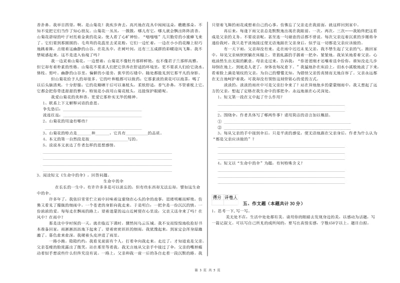 兰州市重点小学小升初语文考前检测试题 含答案.doc_第3页