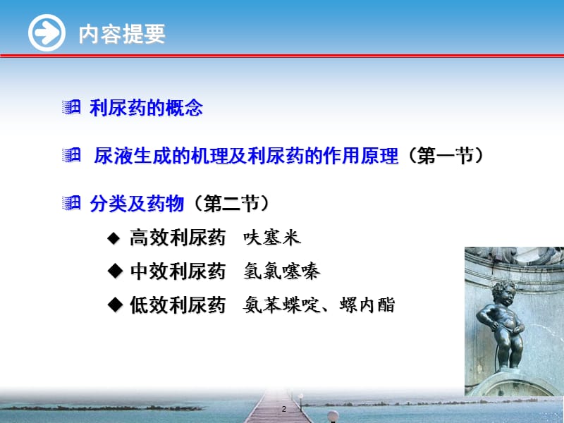 药理学完整知识利尿药ppt课件.ppt_第2页