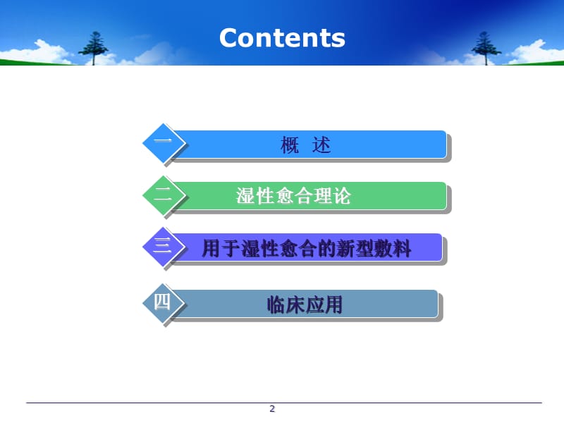 压疮湿性愈合理论ppt课件_第2页