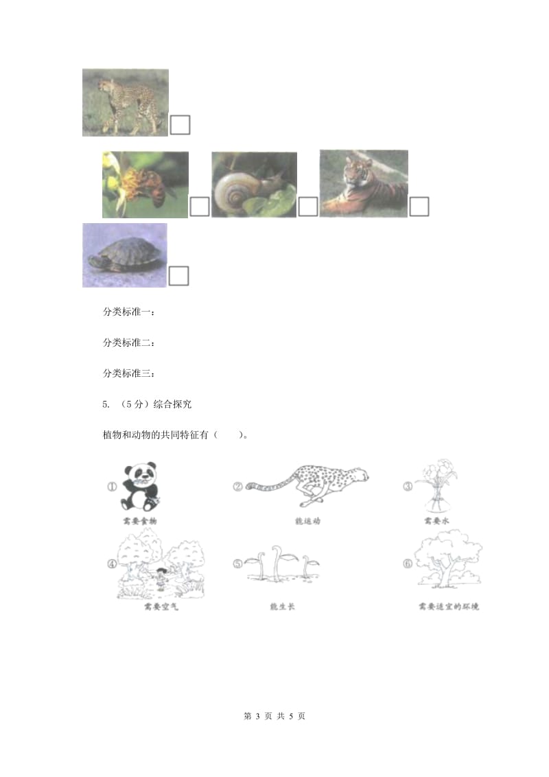 2020年教科版小学科学一年级下学期 第二单元动物6.给动物分类.doc_第3页