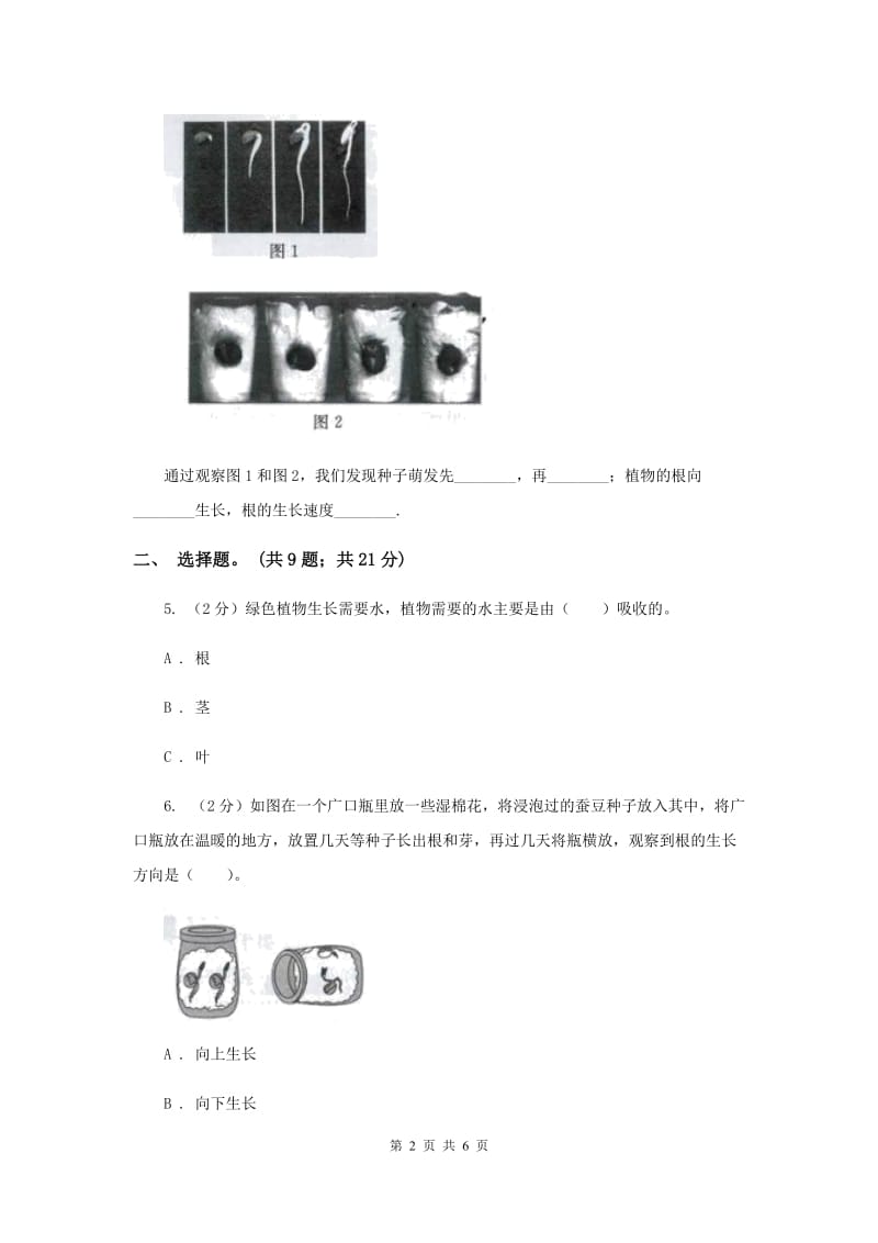 2020年教科版小学科学四年级下册 第二单元新的生命第5课时种子的萌发 .doc_第2页