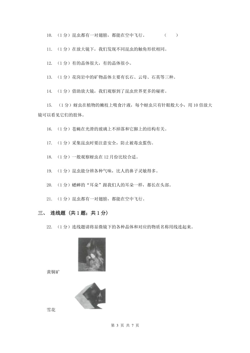 2020年教科版小科六下 1.2放大镜下的各种昆虫同步练习.doc_第3页