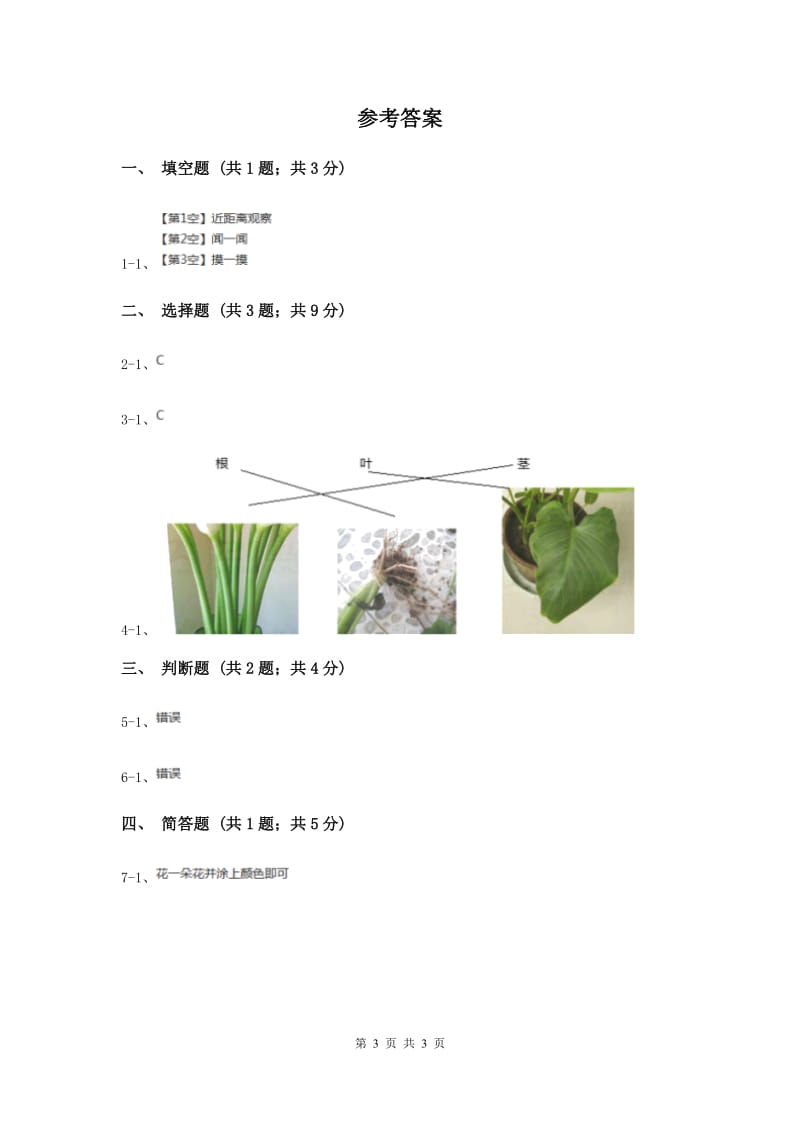 教科版小学科学一年级上学期第一单元第二课 《观察一棵植物》（II ）卷.doc_第3页