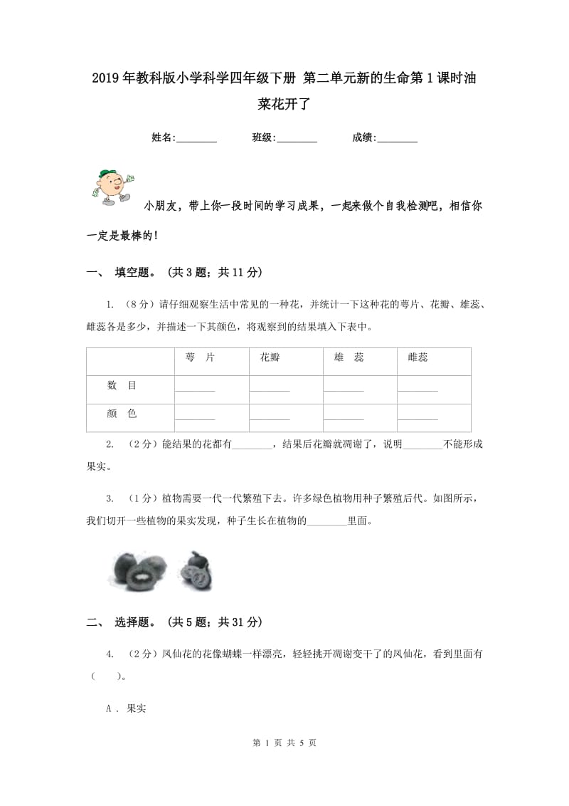 2019年教科版小学科学四年级下册 第二单元新的生命第1课时油菜花开了 .doc_第1页