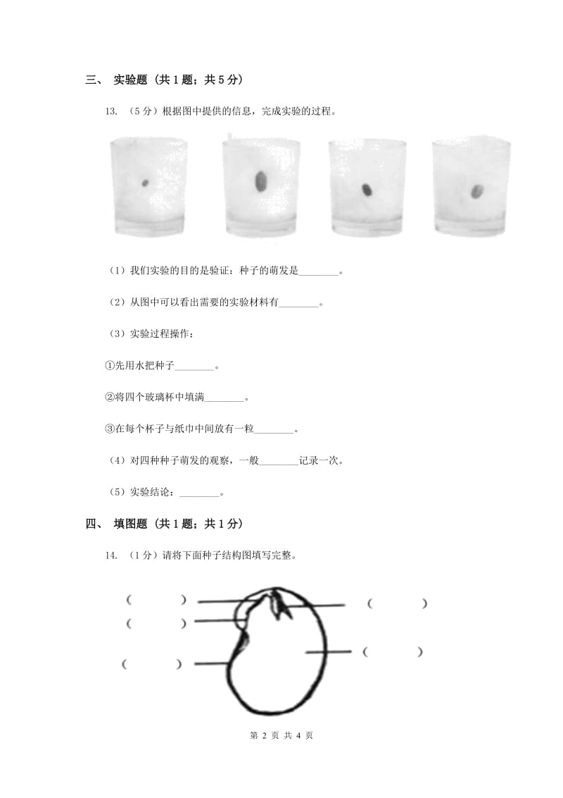 2019年粤科版小学科学三下第一单元第2课时《专题探究：种子发芽了》.doc_第2页