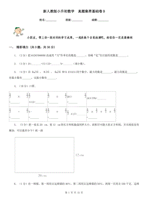 新人教版小升初數(shù)學(xué)真題集萃基礎(chǔ)卷B.doc