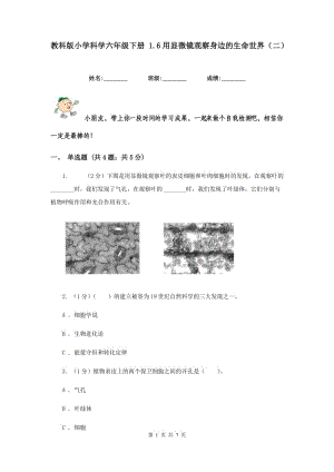 教科版小學(xué)科學(xué)六年級下冊 1.6用顯微鏡觀察身邊的生命世界（二）.doc