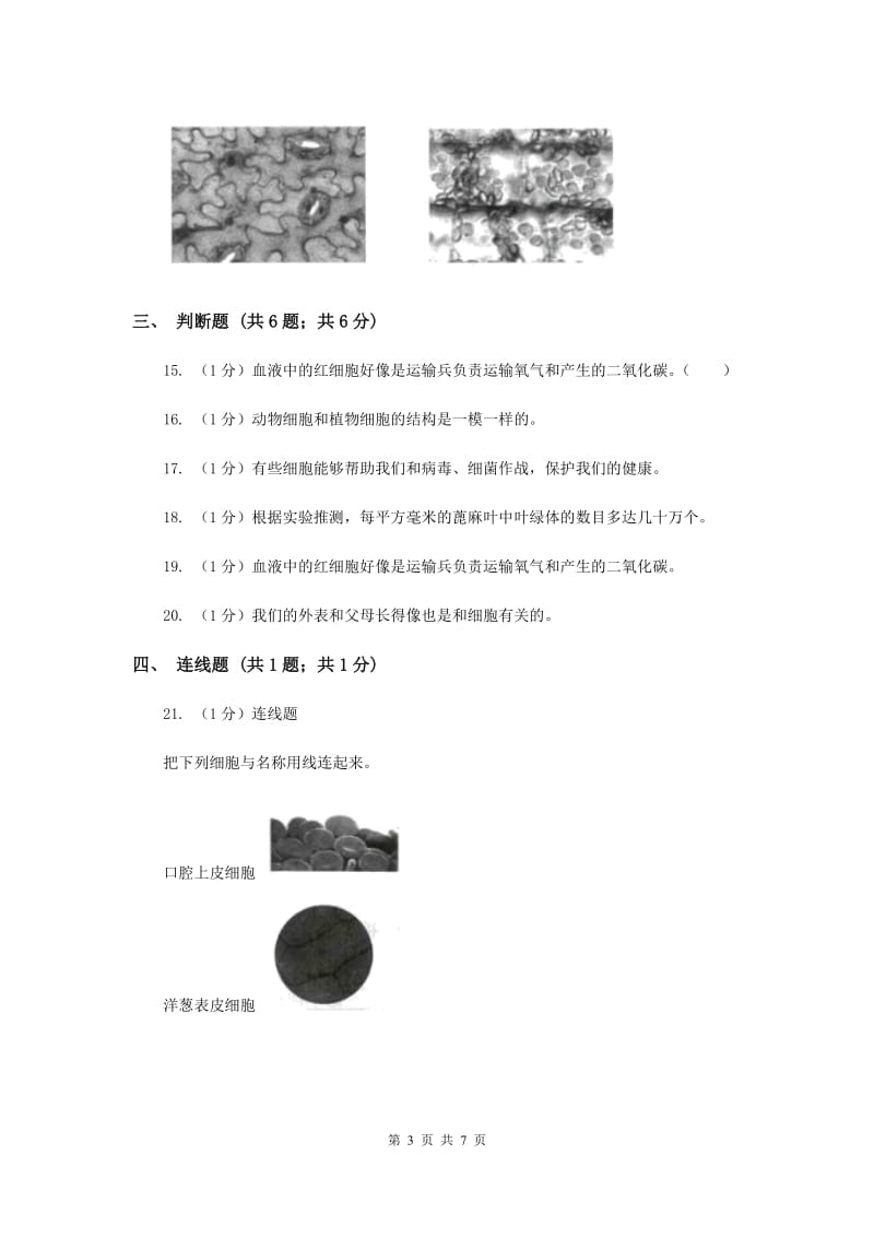 2020年教科版小学科学六年级下册 1.6用显微镜观察身边的生命世界（二）.doc_第3页