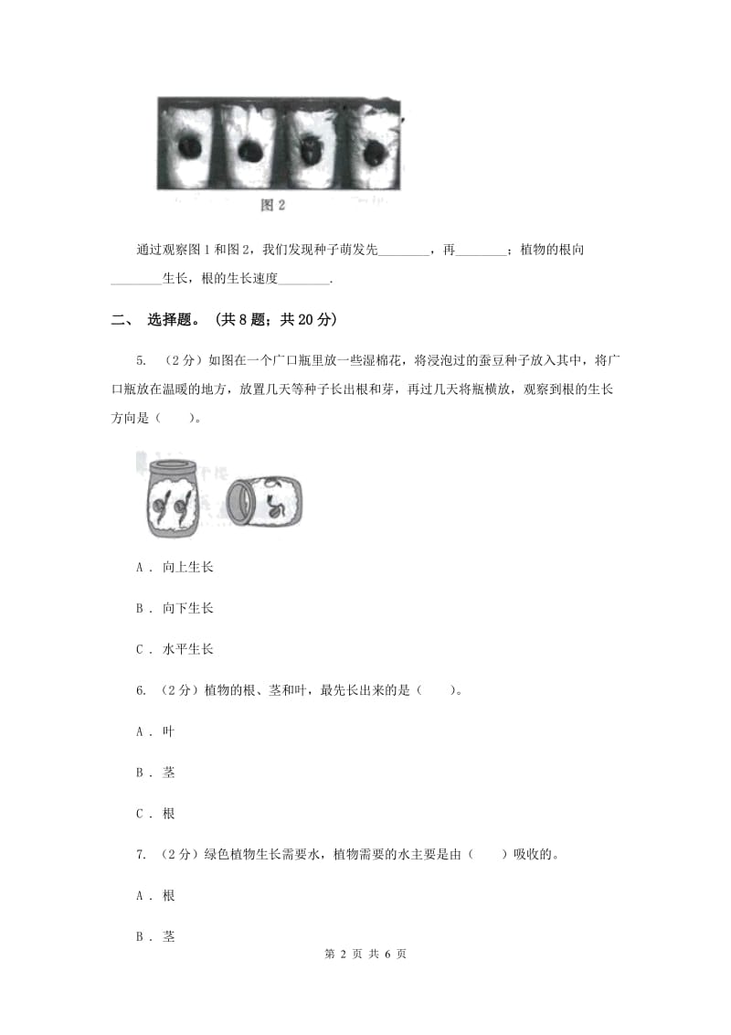 2019年教科版小学科学四年级下册 第二单元新的生命第5课时种子的萌发 .doc_第2页