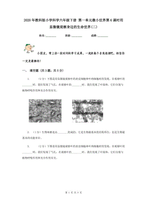 2020年教科版小學(xué)科學(xué)六年級下冊 第一單元微小世界第6課時用顯微鏡觀察身邊的生命世界(二) .doc