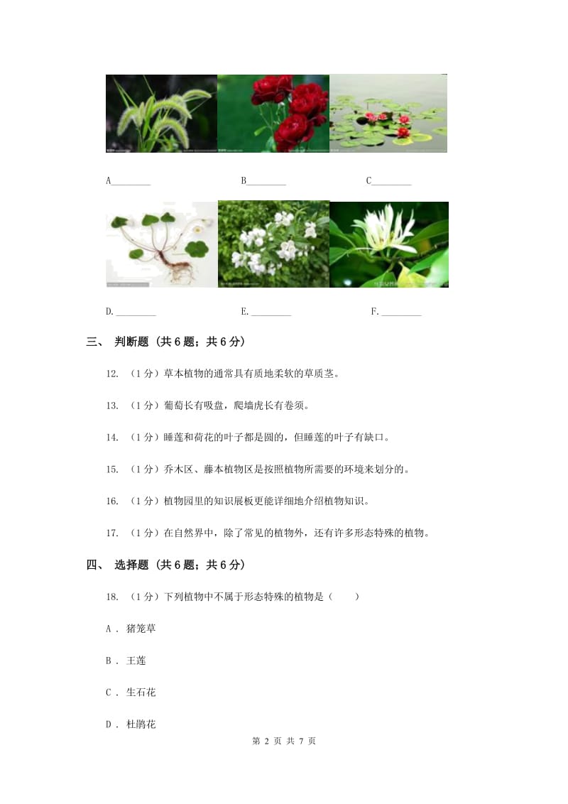 粤教版小学科学四年级下册 第一单元 身边的植物 单元测试卷.doc_第2页