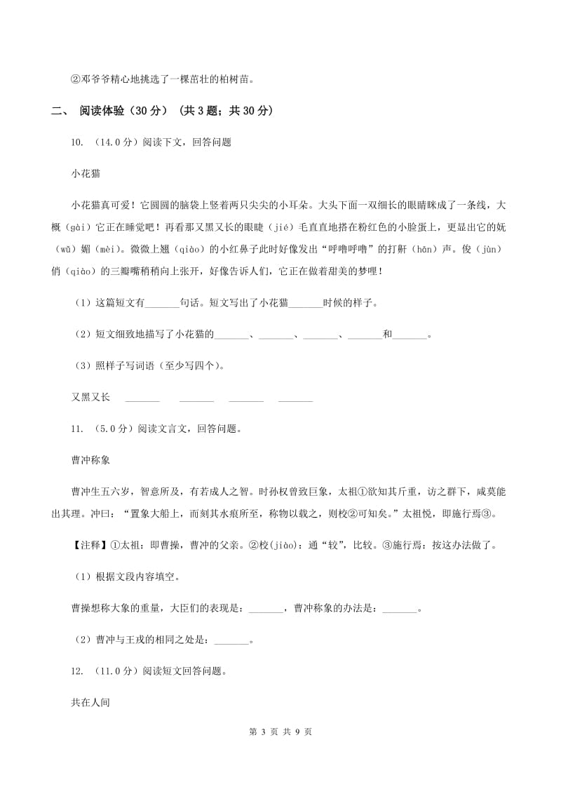 人教版（新课程标准）2020年度小升初语文升学考试试卷.doc_第3页