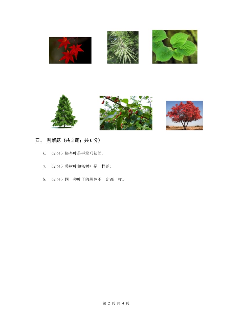 教科版小学科学一年级上学期第一单元第四课《这是谁的叶》（II ）卷.doc_第2页