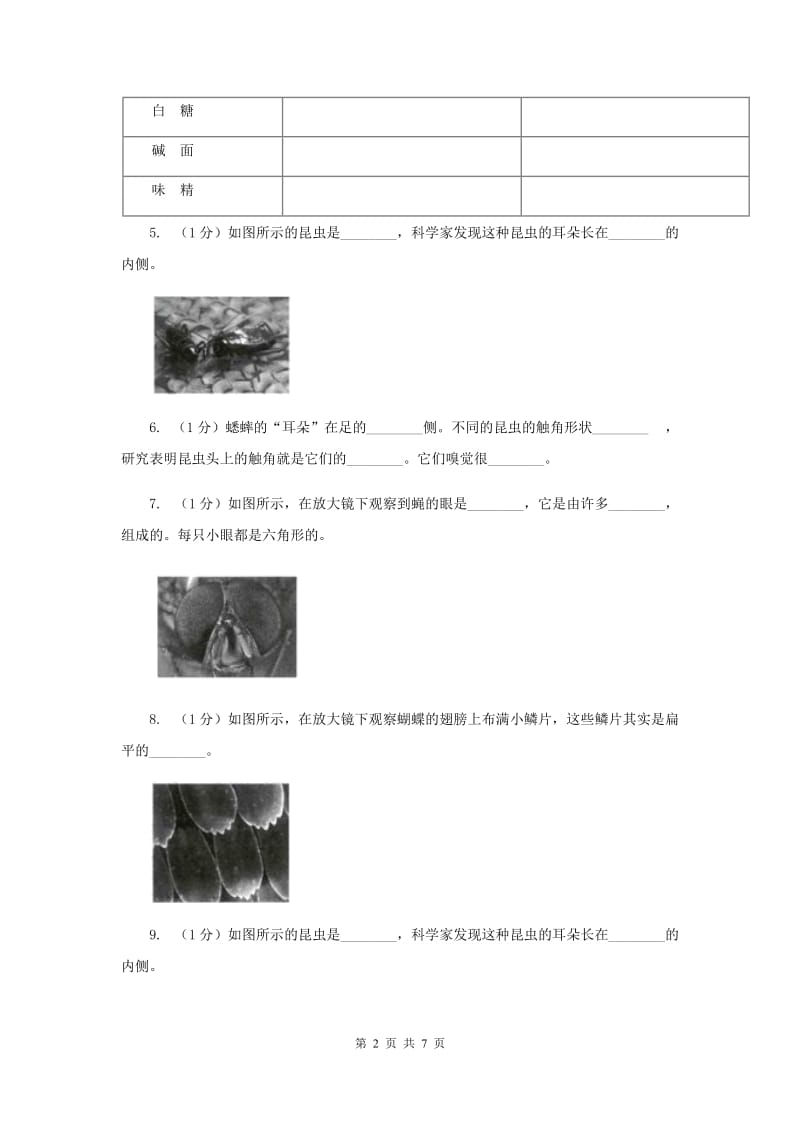 2019年教科版小科六下 1.2放大镜下的各种昆虫同步练习.doc_第2页