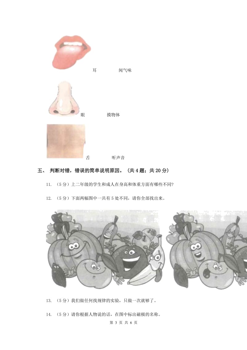 2020年教科版小学科学二年级下册期末测试（一）.doc_第3页