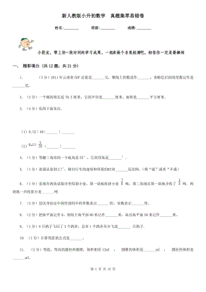 新人教版小升初數(shù)學(xué)真題集萃易錯卷.doc