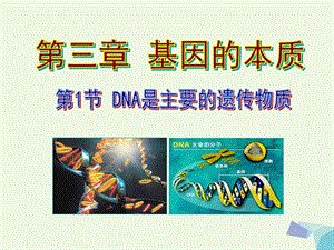 高中生物第三章基因的本质课件（打包5套）新人教版必修2.zip