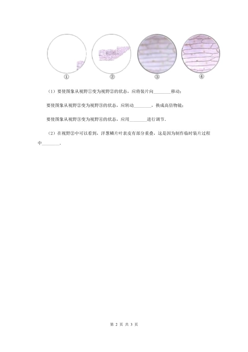 粤教版小学科学五年级下册1.3《植物的细胞》（II ）卷.doc_第2页