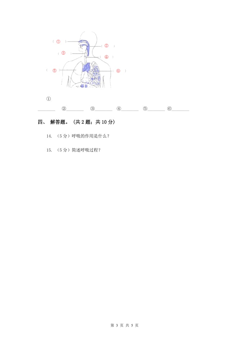 冀教版科学六年级下册第二单元第三课呼吸与交换同步练习.doc_第3页