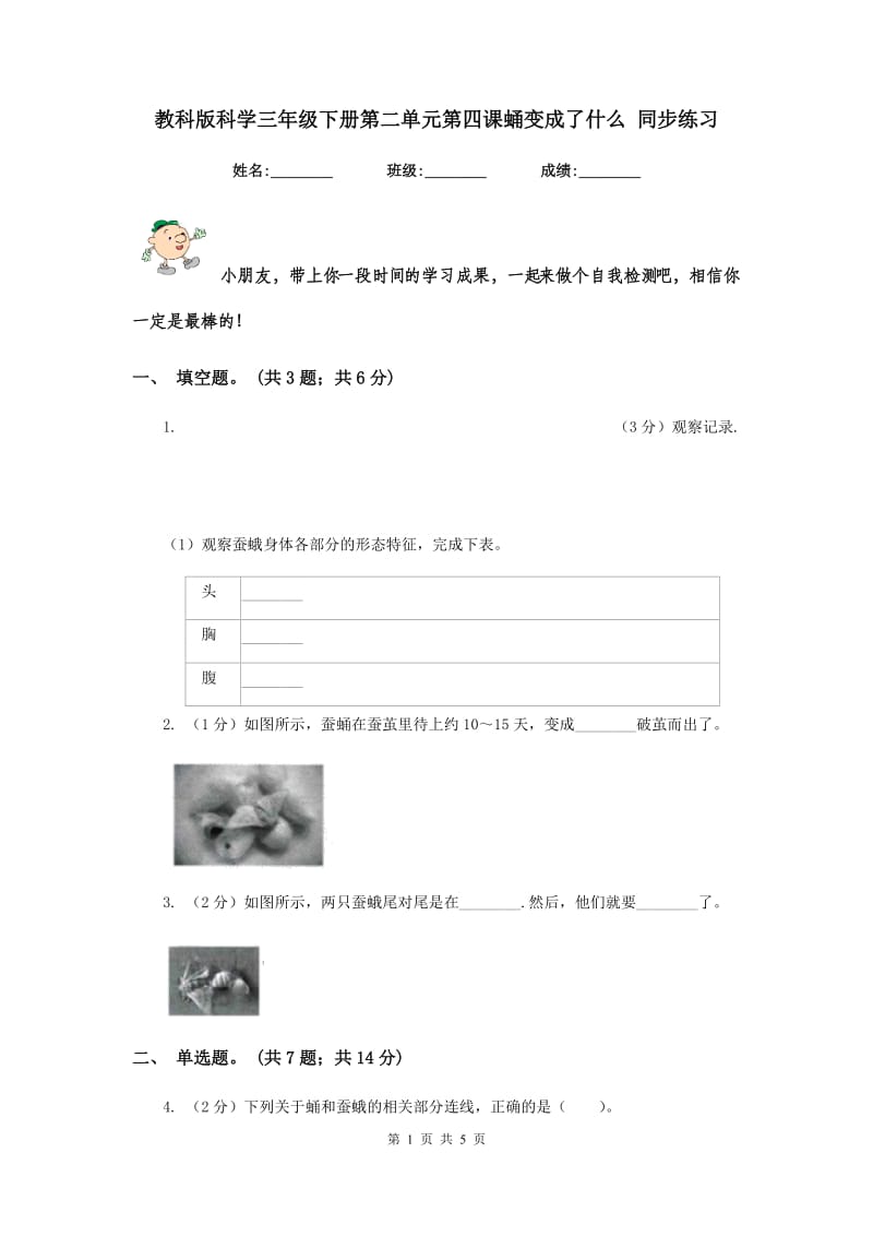 教科版科学三年级下册第二单元第四课蛹变成了什么 同步练习.doc_第1页