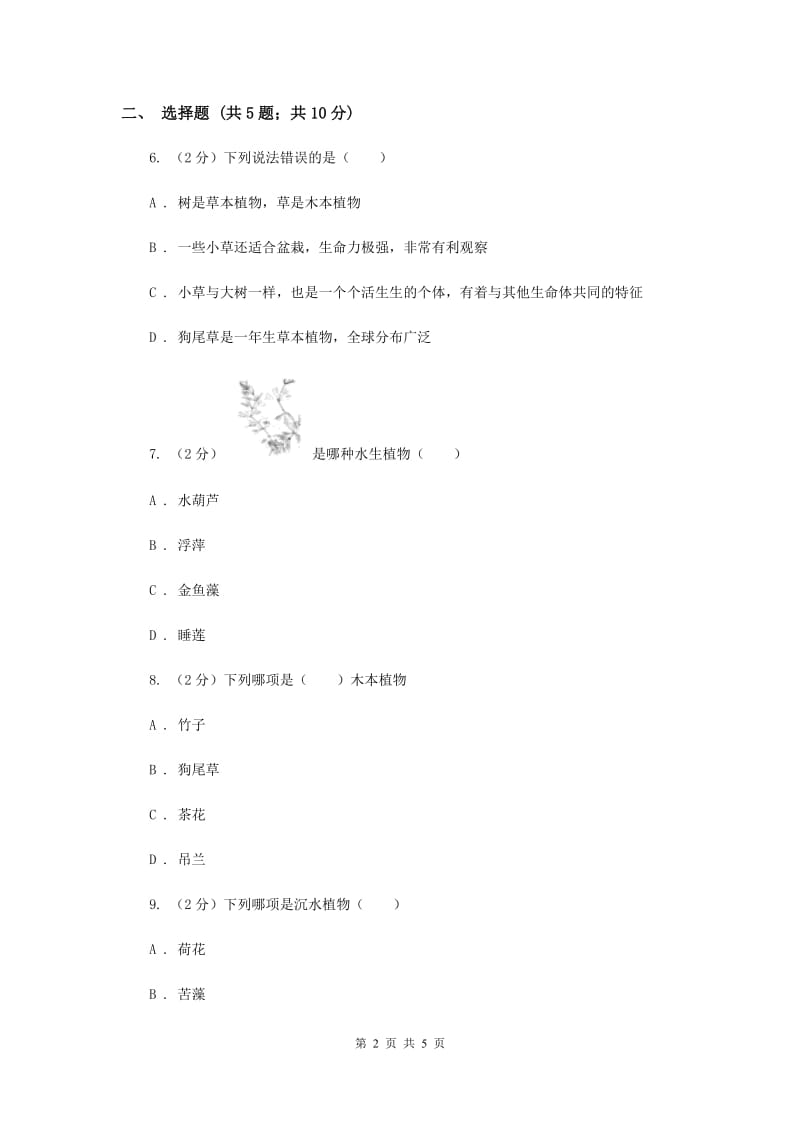 教科版小学科学三年级上学期 第一单元第七课《植物有哪些相同特点》.doc_第2页