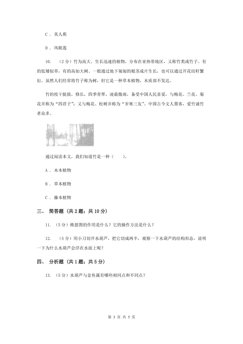 教科版小学科学三年级上学期 第一单元第七课《植物有哪些相同特点》.doc_第3页