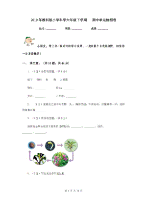 2019年教科版小學(xué)科學(xué)六年級下學(xué)期 期中單元檢測卷.doc