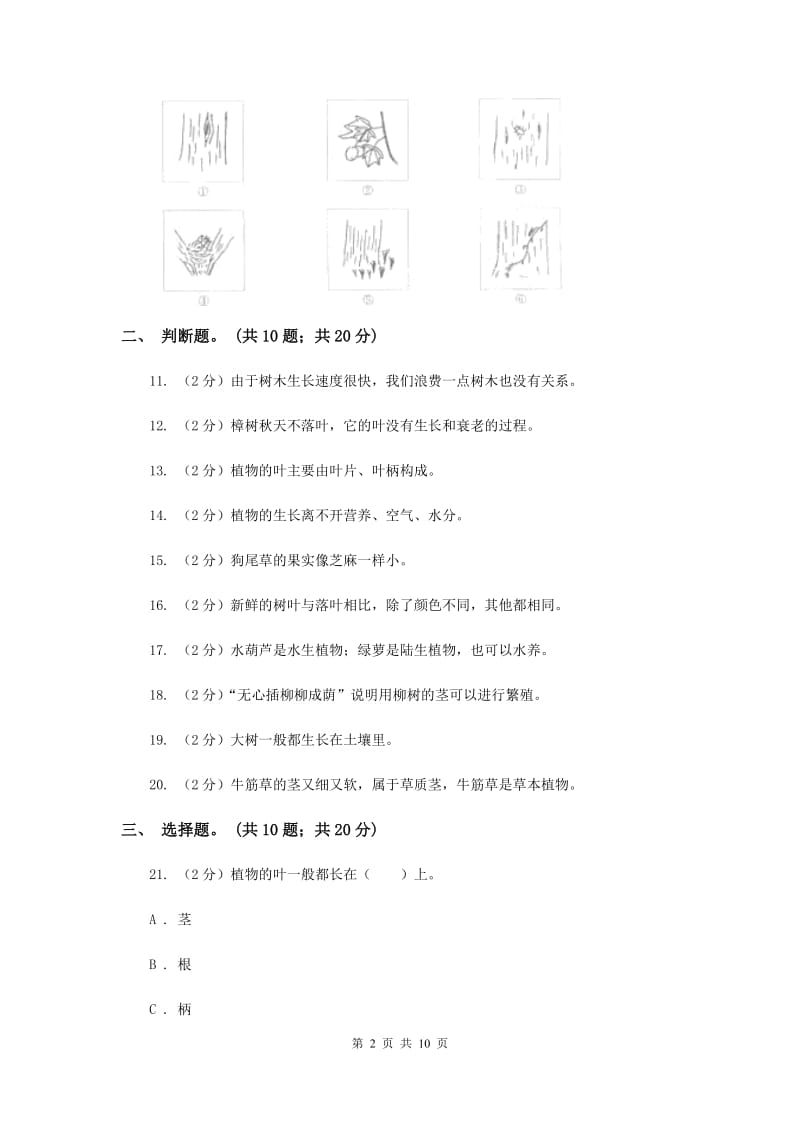 冀教版三年级科学上册第一单元 植物 单元全练全测 .doc_第2页