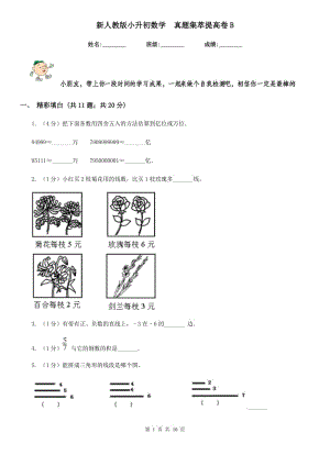 新人教版小升初數(shù)學(xué)真題集萃提高卷B.doc