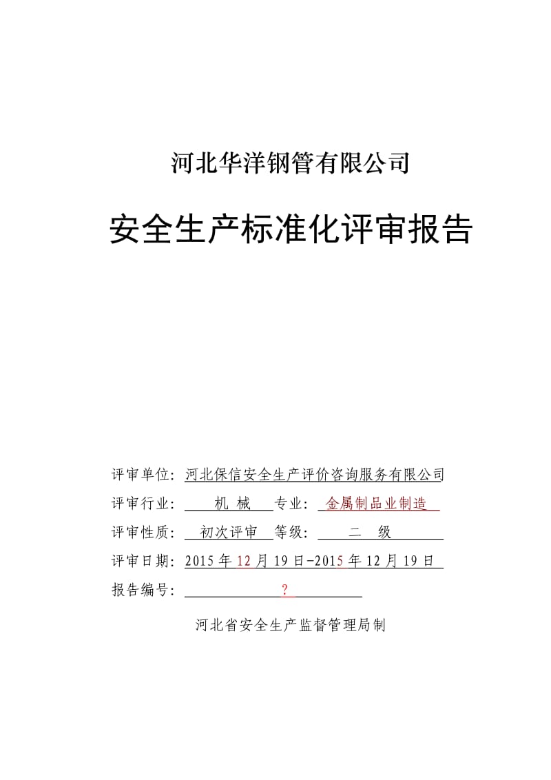 安全标准化二级企业评审报告(模板).doc_第1页