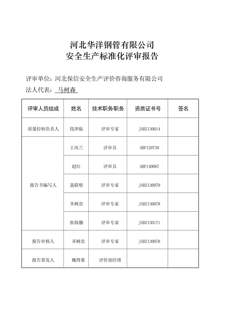 安全标准化二级企业评审报告(模板).doc_第2页