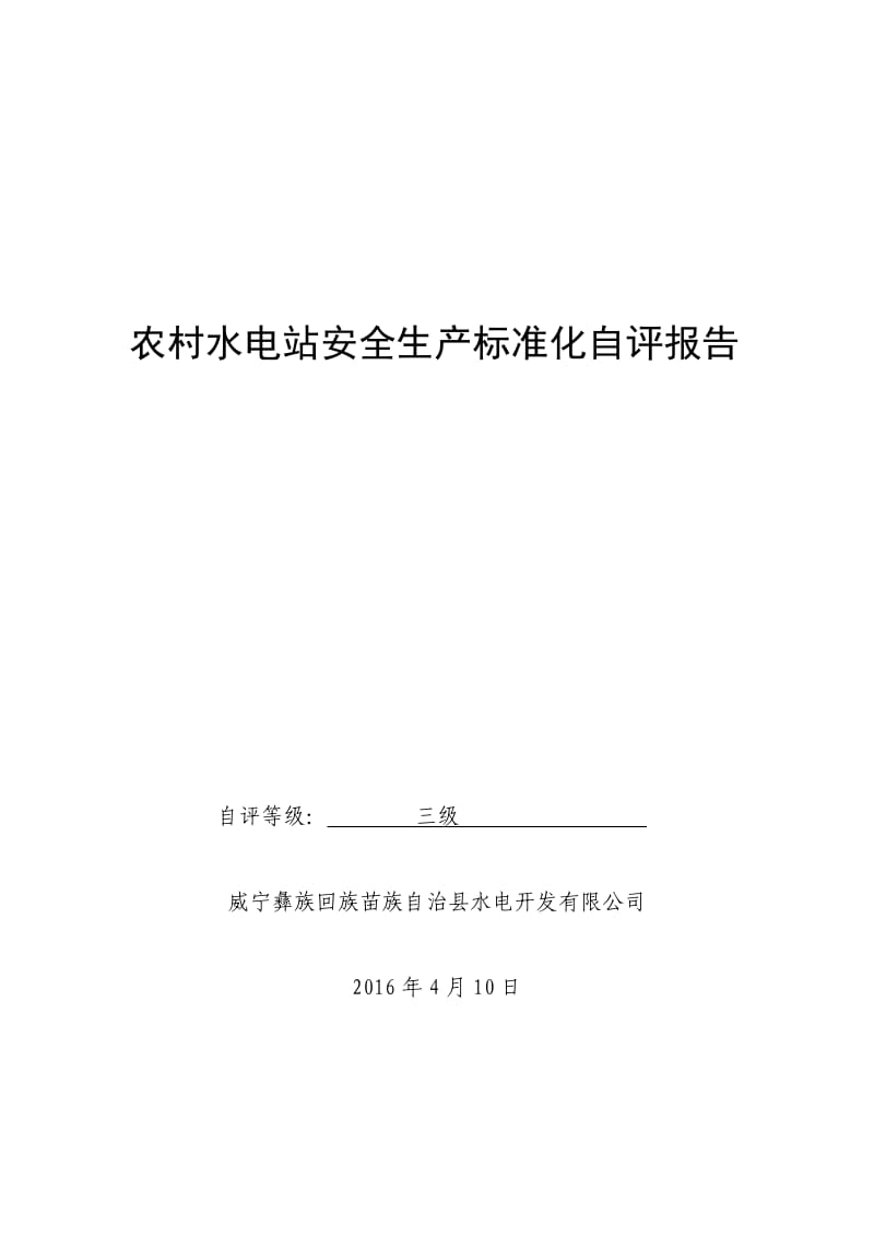 乐溪水电站安全生产标准化自评报告.doc_第1页