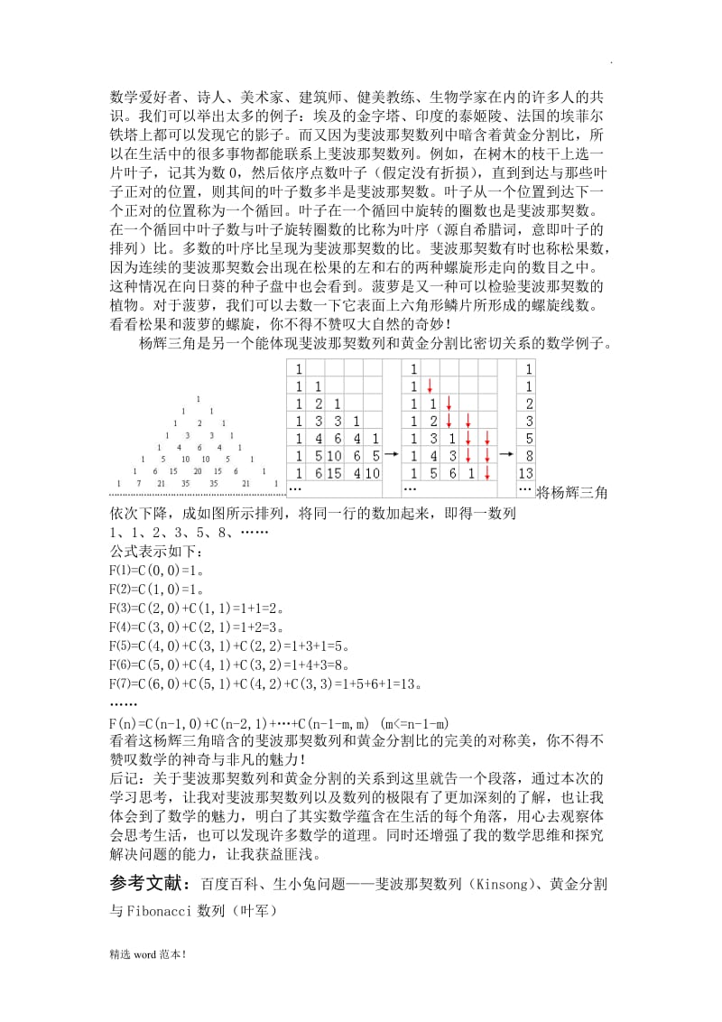 斐波那契数列与黄金分割.doc_第2页