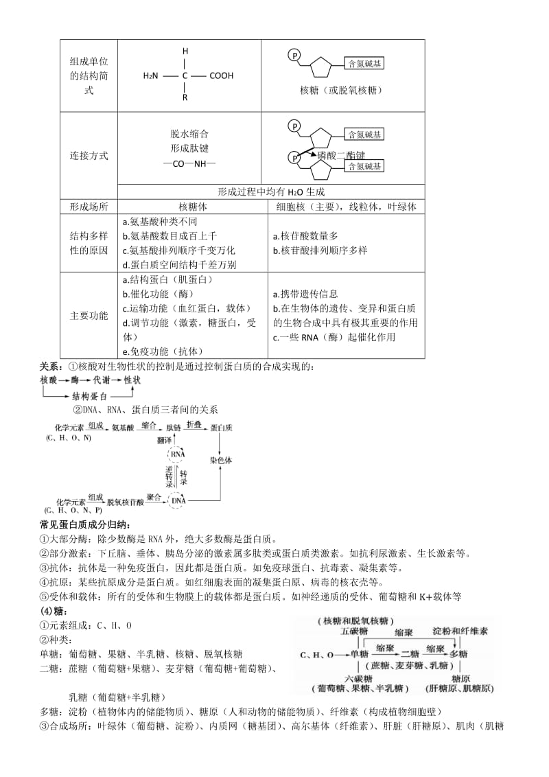 生物二轮复习知识点总结-专题一.doc_第2页