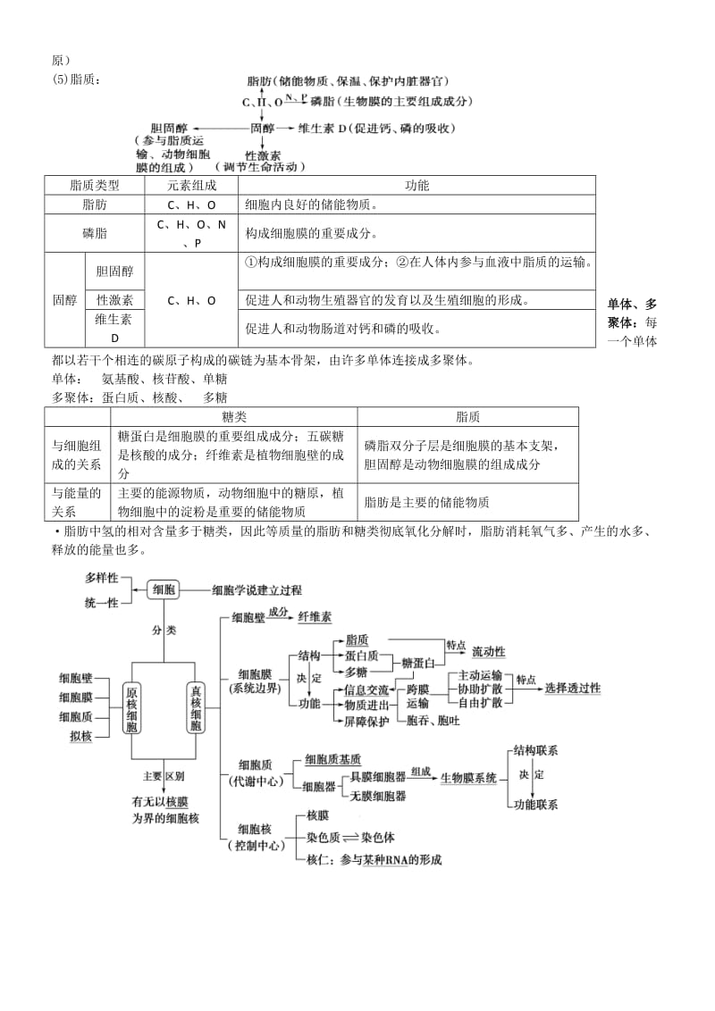 生物二轮复习知识点总结-专题一.doc_第3页