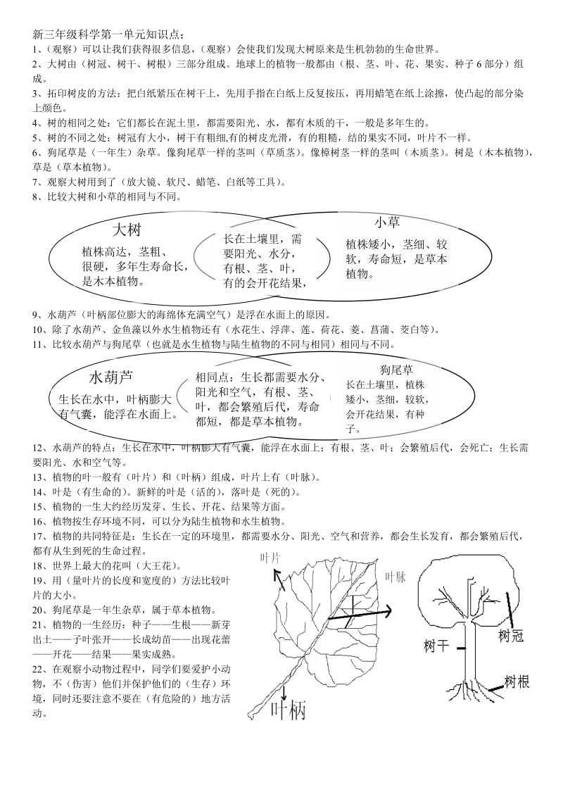 三年级上册浙江科学整理期末资料.doc_第1页