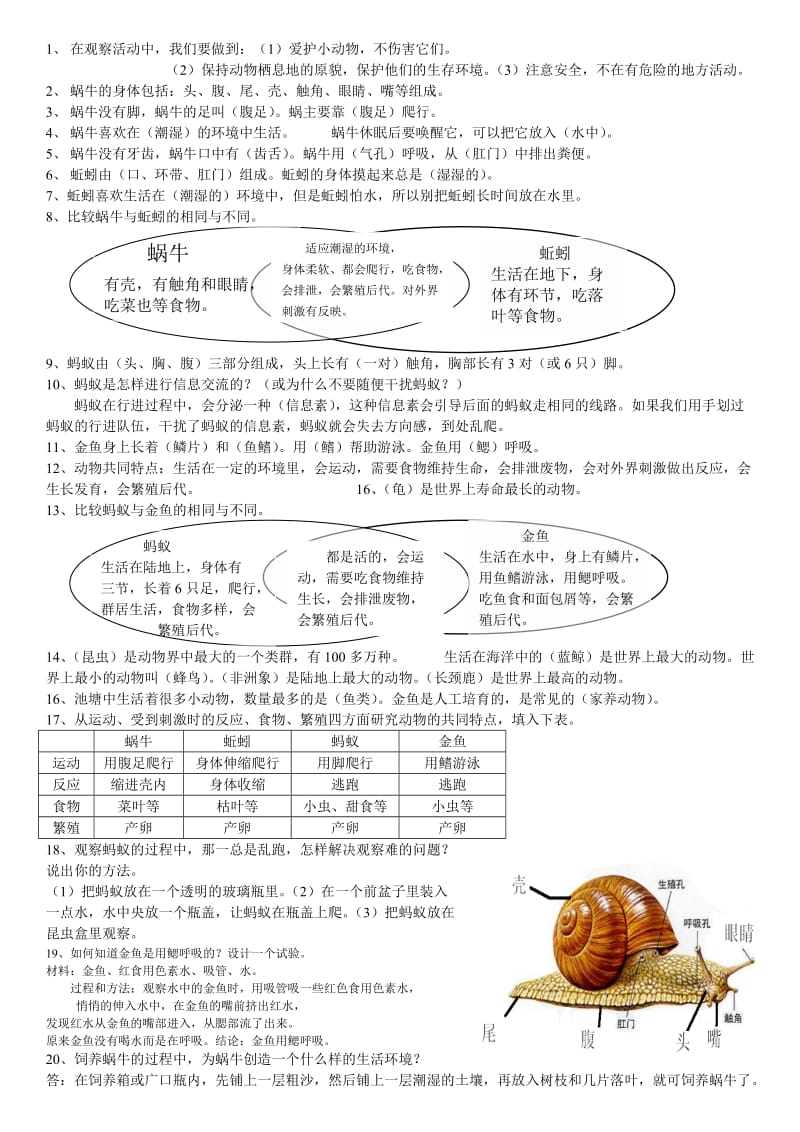 三年级上册浙江科学整理期末资料.doc_第2页