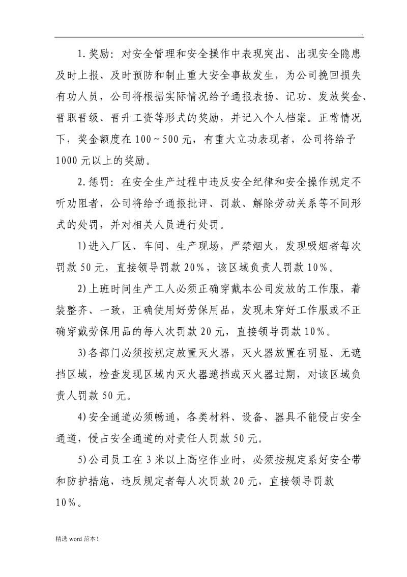 公司安全管理处罚条例.doc_第2页