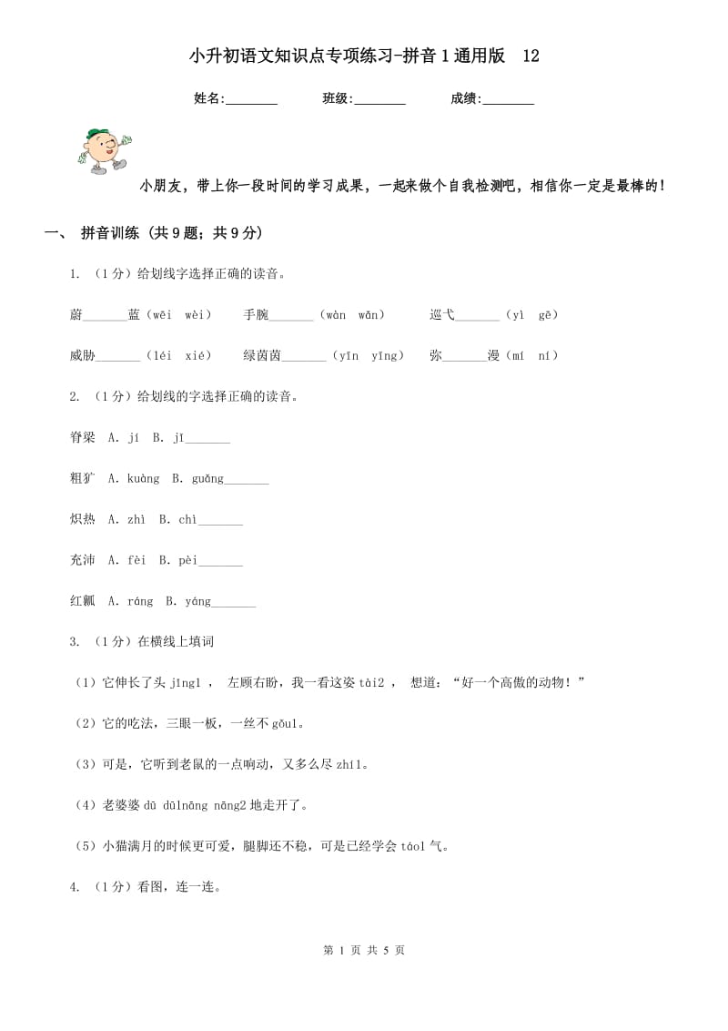 小升初语文知识点专项练习-拼音1通用版 12.doc_第1页