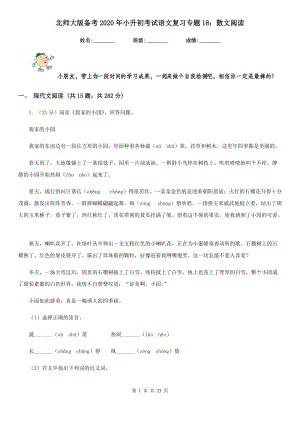 北师大版备考2020年小升初考试语文复习专题18：散文阅读.doc