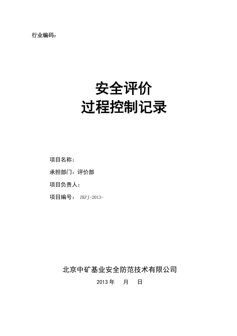 2013年度安全评价过程控制实施细则.doc_第1页