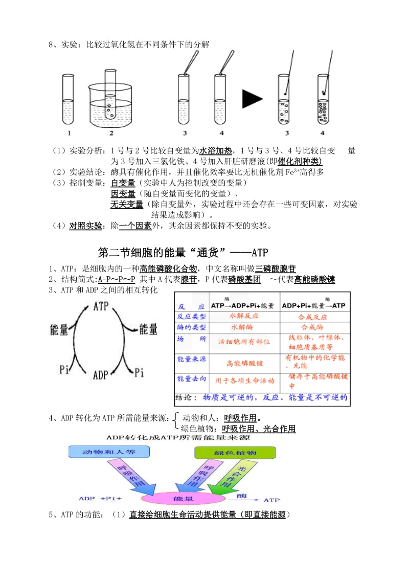 生物必修一第五章知识点总结全.doc_第2页